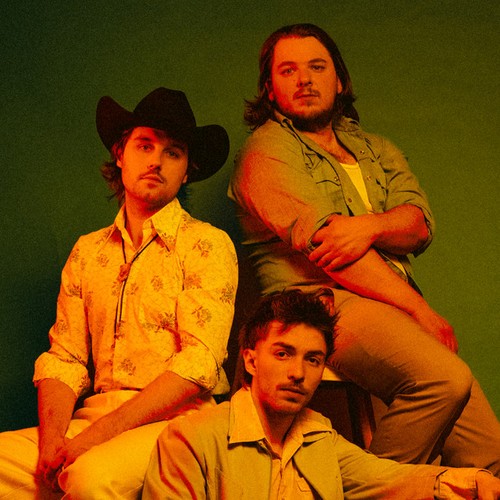 The Wild Palominos