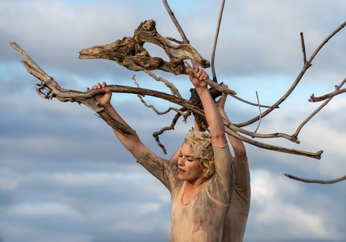 Êtres de bois