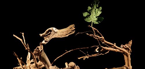 Bois - Puzzle Théâtre