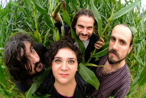Zea Mays
